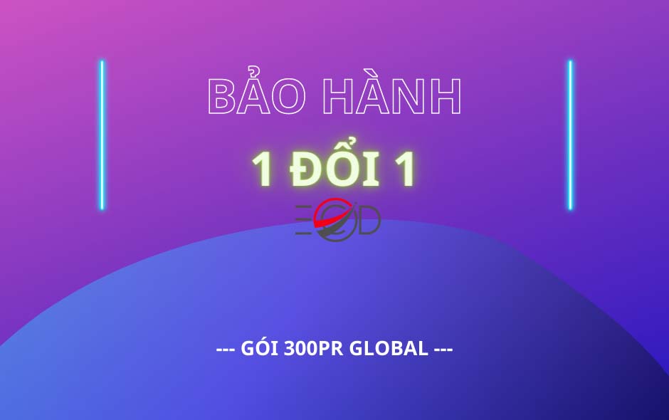 bao_hanh_backlink