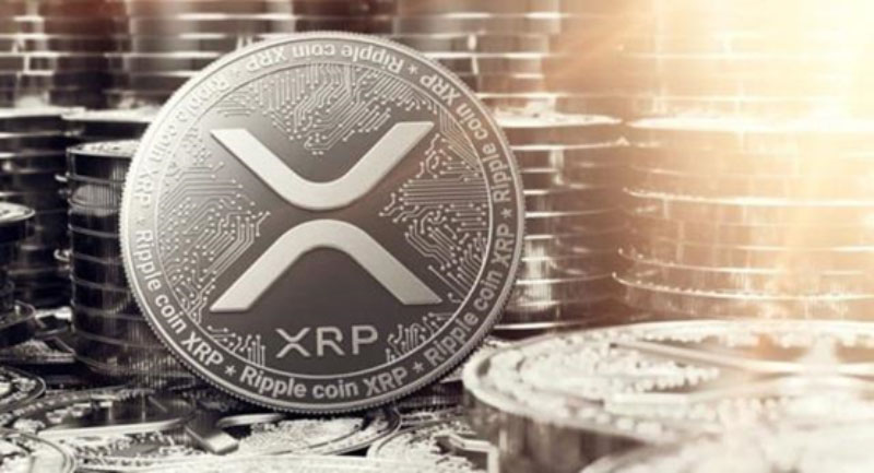 xrp_anh